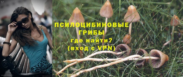 ешки Санкт-Петербург