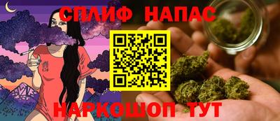 a pvp Обь