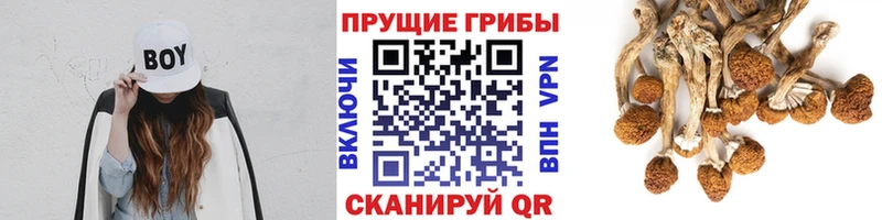 Галлюциногенные грибы ЛСД  Славянск-на-Кубани 