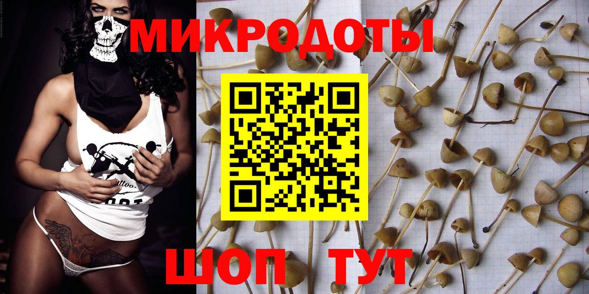 Галлюциногенные грибы Psilocybe  Вход с VPN  Псилоцибиновые грибы ЛСД  Славянск-на-Кубани 