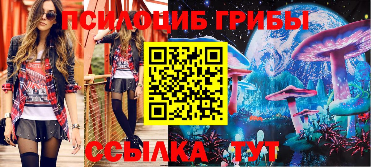 Галлюциногенные грибы прущие грибы Славянск-на-Кубани